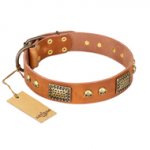 "Saucy Nature" FDT Artisan Tan Leather Doberman Collar with Old Bronze Look Plates and Skulls