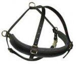Full Chest Latigo Roading Harness for Doberman