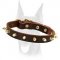 Handmade luxury spiked leather collar for Doberman