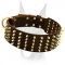 Leather decorated collar with 5 rows of brass spikes for Doberman