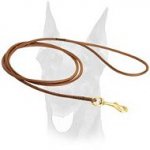 Walking handmade dog show leash for Doberman