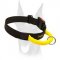 Everyday durable nylon Doberman collar with a handle