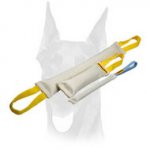 Fire Hose Bite Tugs Training Set