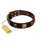 "Crazy Pirate" FDT Artisan Brown Leather Doberman Collar with Old Bronze-Plated Skulls and Plates