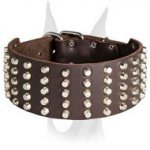 Extra wide 3 inch studded leather collar for Doberman