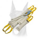 Doubled Doberman Bite Tugs Set for Effective Training