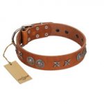 "Splendid Armor" Premium Quality FDT Artisan Tan Designer Doberman Collar with Shields and Stars