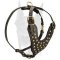 Exclusive style Doberman leather studded harness