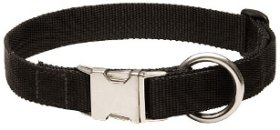 Nylon Doberman collar with easy quick release buckle