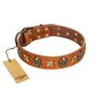 "Rockin' Doggie" FDT Artisan Tan Leather Doberman Collar Adorned with Stars and Skulls