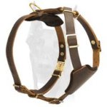 Lightweight Leather Dog Harness for Doberman Puppy Walking and Training