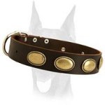 Retro rulz vintage leather collar for Doberman