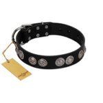 "Magic Amulete" Handcrafted FDT Artisan Black Leather Doberman Collar with Chrome-Plated Shields