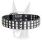 Silver Pyramid Leather Dog Collar for Doberman
