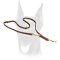 Leather Doberman leash for training, walking, tracking