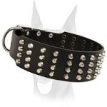 Pyramid studded leather 2 inch wide Doberman collar