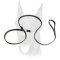 Leather Slip Lead 6 FT on 1/2'' for Doberman