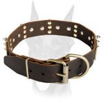 Stylish Doberman collar decorated with plates and spikes