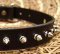 Small Spiked Dog Collar for Doberman puppy