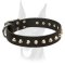 Wide stylish Doberman collar with nickel cones