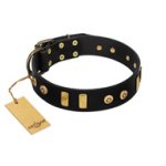 "Rare Dog" FDT Artisan Black Leather Doberman Collar with Old Bronze-like Dotted Studs and Tiles
