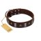 "War Chief" FDT Artisan Genuine Brown Leather Doberman Collar with Skulls and Plates
