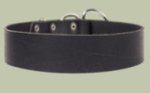 2 inch wide All Weather Collar for Doberman-Leather Collar