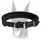 Best training leather felt padded collar only 1 inch (25 mm) wide