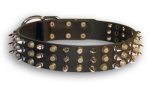 Stylish wide leather collar with pyramids and spikes for Doberman
