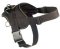 Fashion Dog Harness-Everyday Harness for Doberman