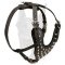 Doberman Studded Leather Dog Harness with Pyramids