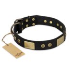 "Spanish night" FDT Artisan Black Daily Walking Leather Doberman Collar - 1 1/2 inch (40mm) wide