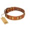 "Olive Slice" FDT Artisan Tan Leather Doberman Collar with Engraved and Smooth Plates