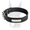 Wide leather collar with ID personalization tag for Doberman