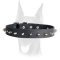 Stylish elegant one rows spiked leather collar for Doberman
