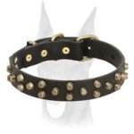 Comfortable and safe leather Doberman collar with symmetrical brass pyramids