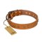 'Autumn Story' FDT Artisan Tan Leather Doberman Collar with Old Bronze Look Studs - 1 1/2 inch (40 mm) wide