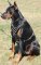 Leather Spiked Handcrafted Harness for Doberman