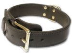 Heavy 2-Ply leather dog collar for Doberman