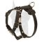 Super soft leather Doberman puppy harness studded with cones