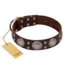 "Imperial Legate" FDT Artisan Brown Leather Doberman Collar with Big Round Plates
