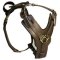 Doberman Padded Dog Harness; Model H10