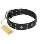 "Star Excitement" Modern FDT Artisan Black Leather Doberman Collar with Studs and Stars