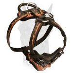 Handpainted agitation leather harness "Flames" for Doberman