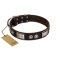 "Baller Status" FDT Artisan Brown Leather Doberman Collar Adorned with a Set of Chrome Plated Studs and Plates