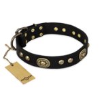 'High Fashion' FDT Artisan Studded with Plates Black Leather Doberman Collar