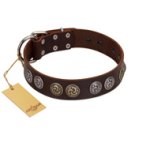 "Treasure Hunter" FDT Artisan Brown Leather Doberman Collar with Old-Bronze-like and Silvery Medallions