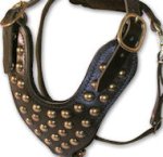 2 Ply Studded Leather Dog Harness for Doberman