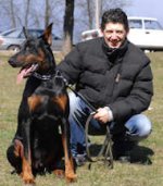 Cord nylon dog leash for Doberman