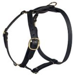 Similar Lupine adjustable dog harness for Doberman